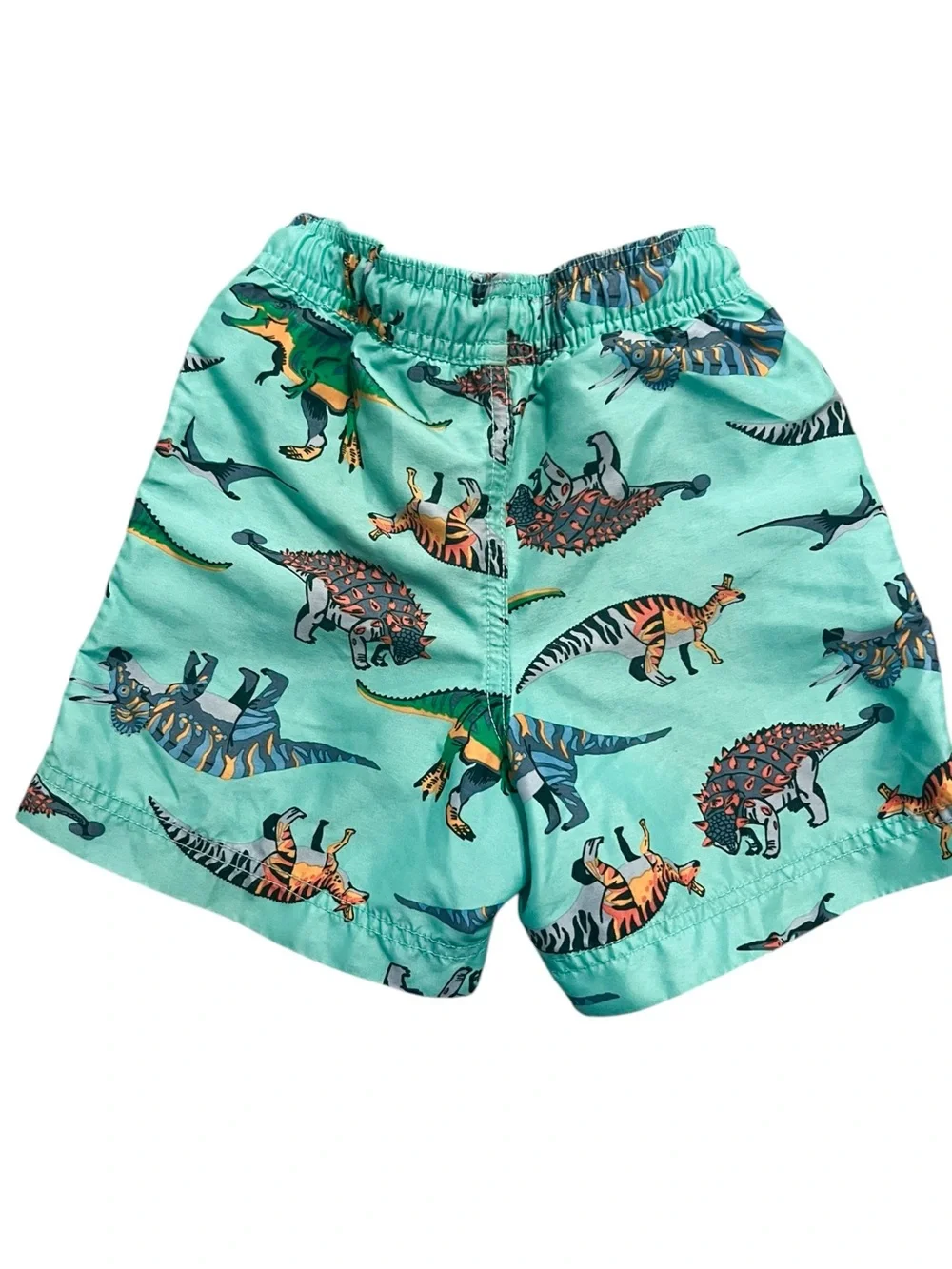 Hanna Andersson Sz 100 (4) Mint Dinosaur Print Swim Shorts